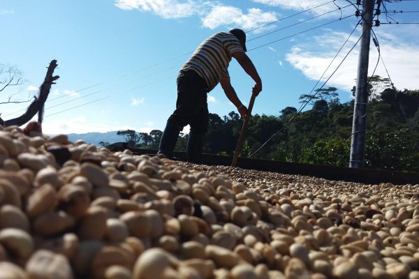 01138be29087000f67b4b4642e94100b