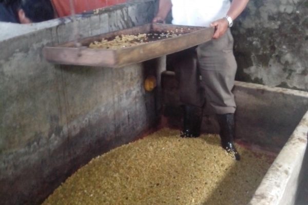 23116d4b57d30b1432dfa457cec71544