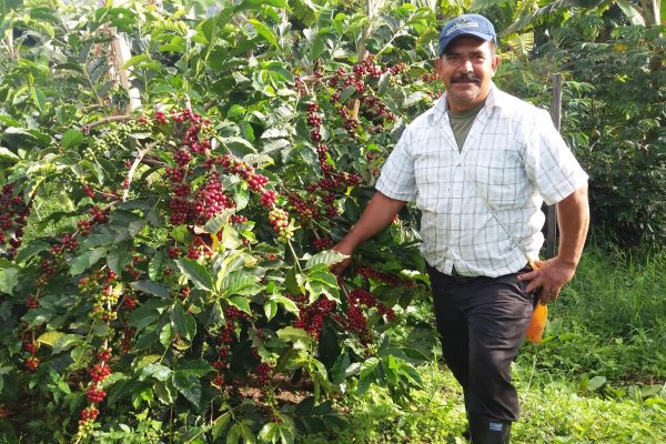 2ea6d548ce0f1efefc062d9508d837ef