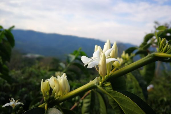 59f01616416c6f069a614c83656ad94c