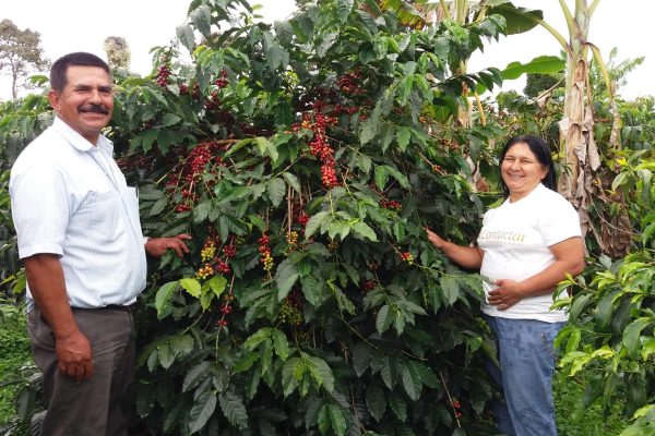 688db9cfd9f082a69e724d22c8f320a1