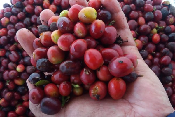 70b77aedcdadafe3eb7467dd423b69b7