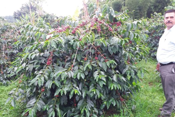 92bdb72ae1488f8399175df4fc58ff2e