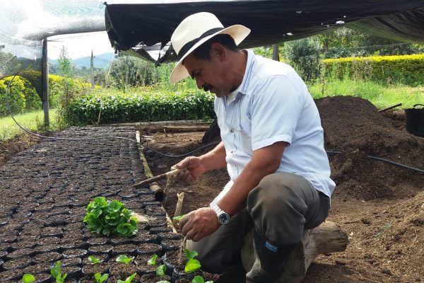 a6040359fa1c42dfedaade0086083805