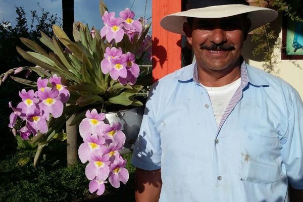 ab36da9da0f88a08f42d15cad2ba9d36