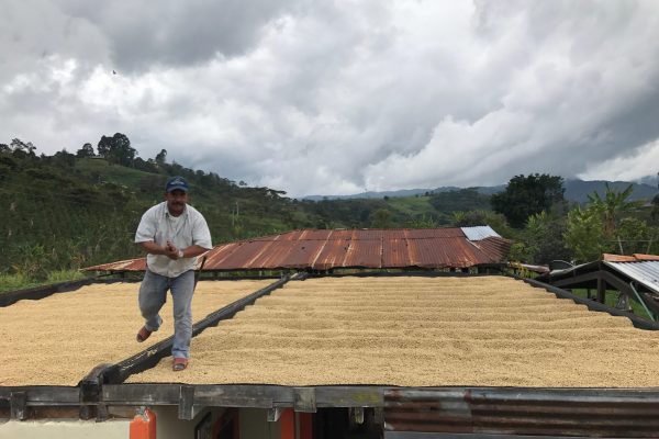 d1bd1e22762b3f0cff49f4247c1086dd