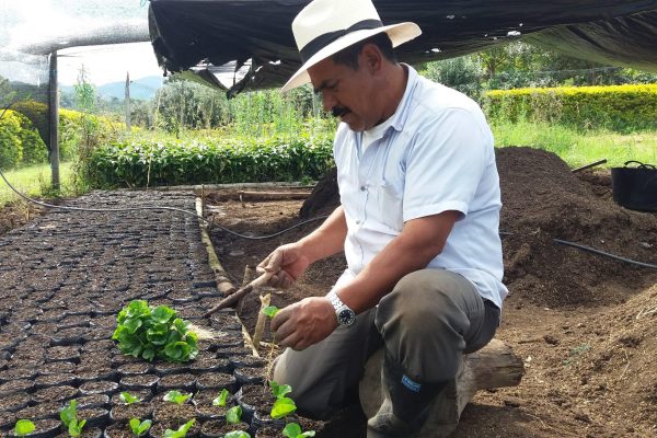 db13e013338fc1c3c2b857bce8a9597b