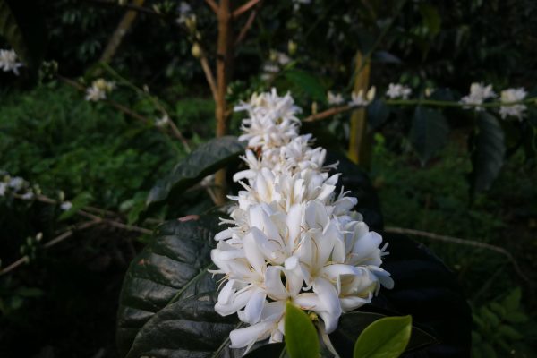 eb8e52a507400a1431bd72ccbb6884b4