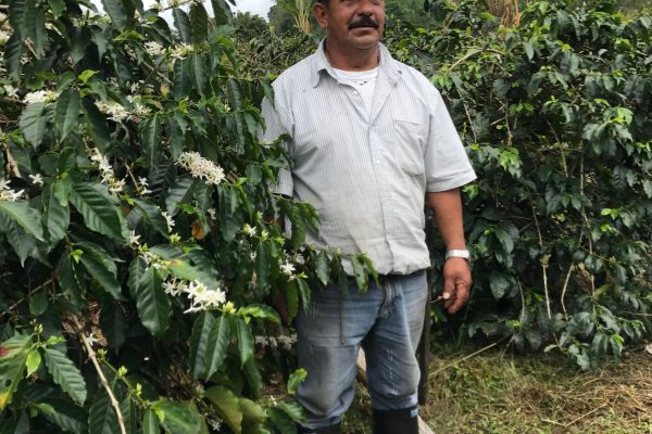 edeb1044f2083e802848757ee6fb57ea