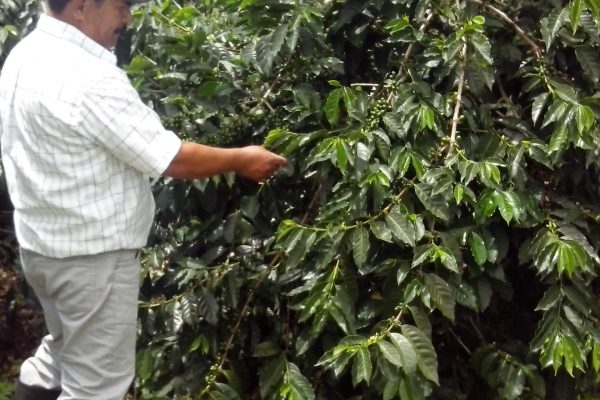 f0f66eb8b1a60d1256976919c416eaa5