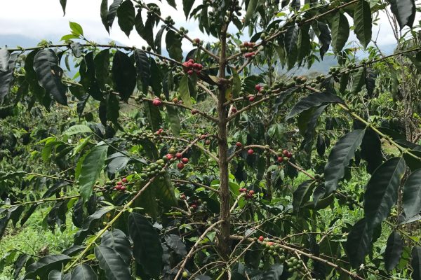 f5d3fc630cdce9dbd289ea7b2be5542f