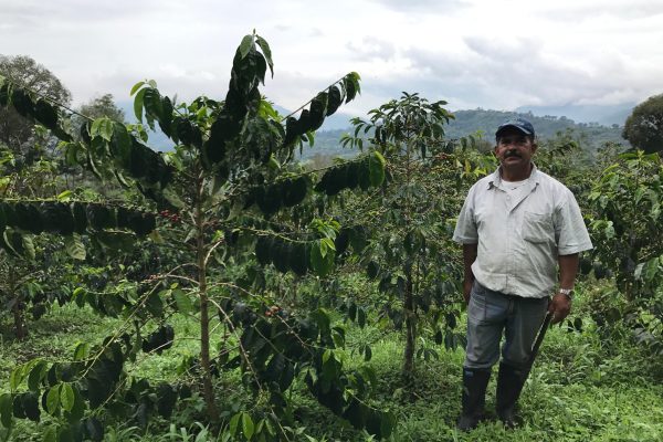 f616cebf59d7eba17d982f0fe33a72fb