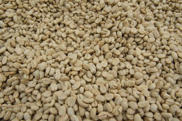 0ab13c1e4f97a3ff151bf2a6f90f30d9