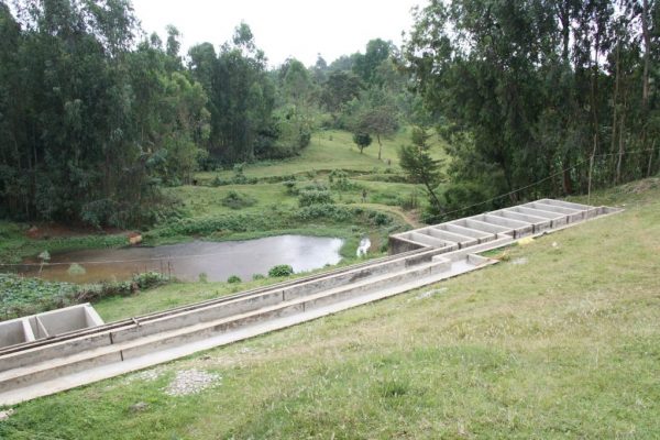 f82ec9fdddf0332bdfa014b29ff82e57