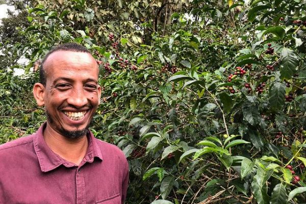 96a151b8092a98ff5ebca9a58f074939