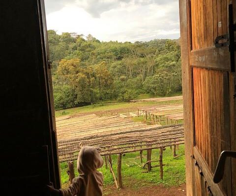 c2cae0cfd6b0d016e0d5a11aee512eca