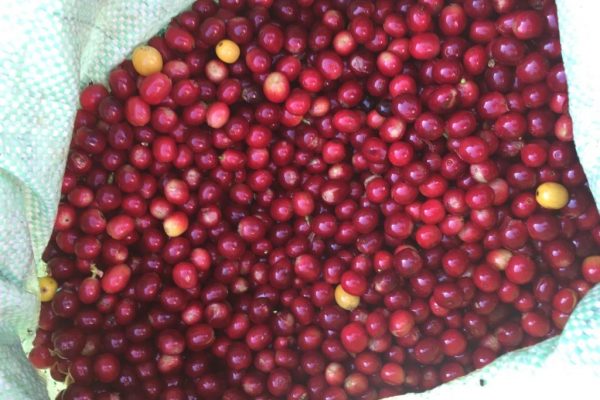 0977cbf3720877962c9e92eb1ccb9fb0