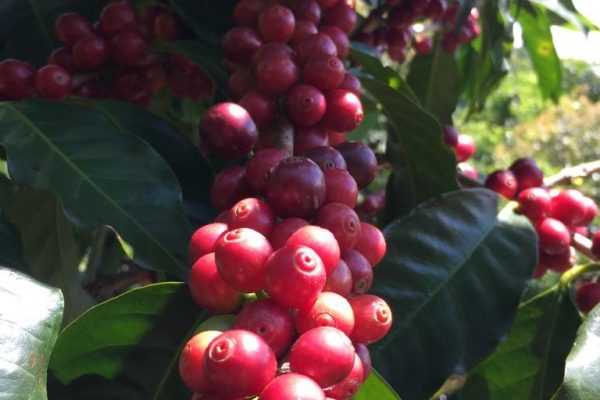 c1d49c48b10434728b63d2c9ee5b7b7b