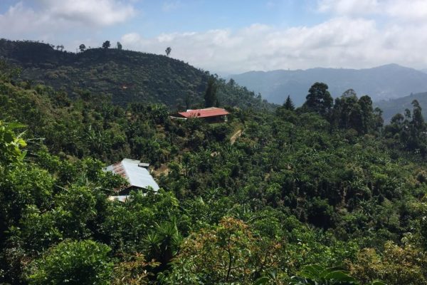 e1a4146c420c76f3c2441c1e5ceb5a3f