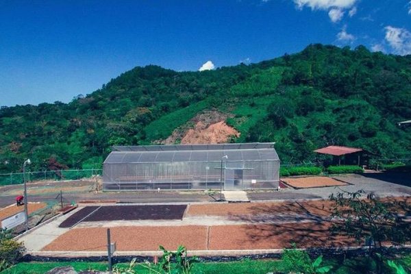 faf30e500d885a8a2a4d96646a9b1c97