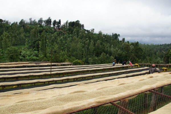 0728f3eaeee4844b061f0b3c1bb5ab01