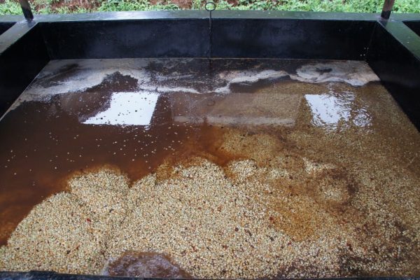 732049ccc32989eda7edb985ecd4150d