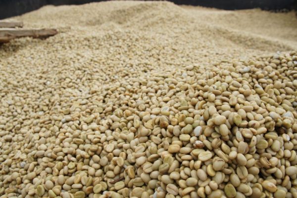 796a82396764047ecc7f3a27bccb0bc2