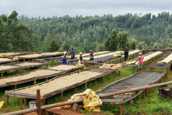 91f58a2ed431f1ff80da423545c6e90a