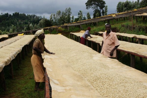 a2deb6eab200816f747b69133cf61ba9