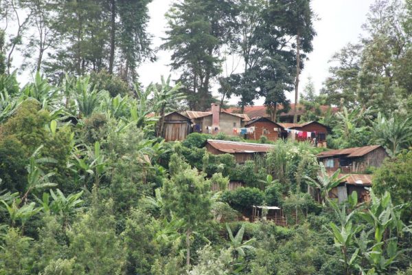 ec863a1563149b4b2dfb172d614c827a