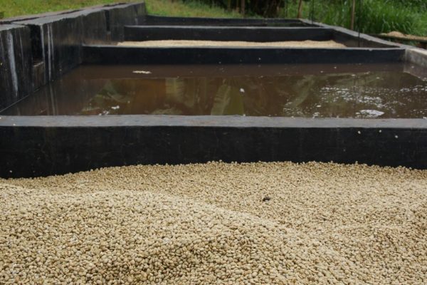 fef398cbce9eb5724d8aa5642ea6c99f