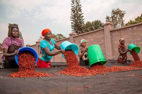 a7491ac49fb607f4f34b743fd85d2d6e