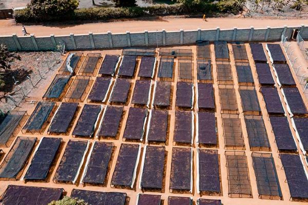 a7b424319863d7c43dc51e480c0e27af