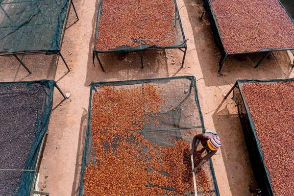 fe5f7cef0e50aadfc9b1ff6c0b198377