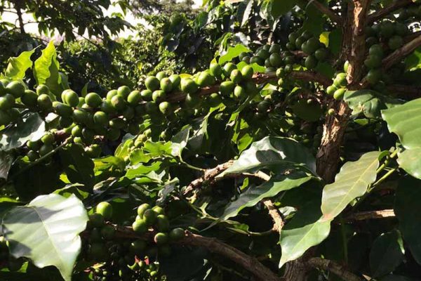 26ae5174c186507159a6273bc58db818